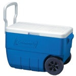 Cooler